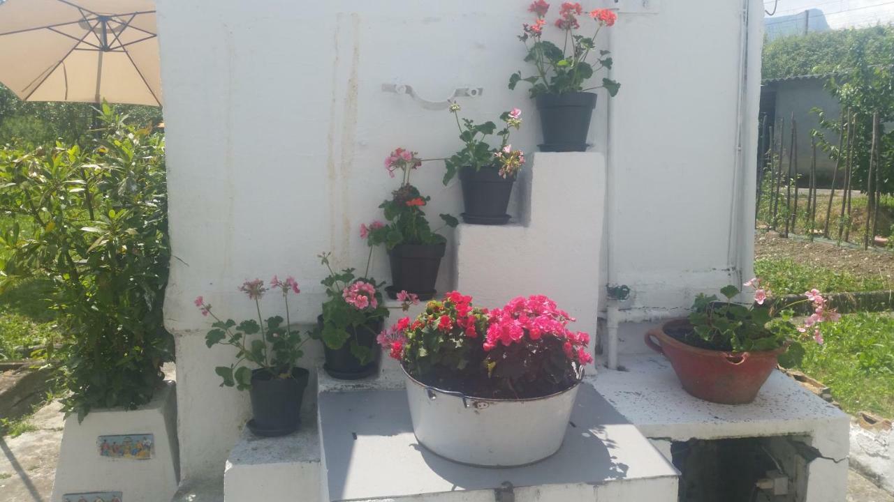 Zikoinaren Txokoa Villa Orduna Luaran gambar